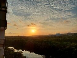 Kingsford Waterbay (D19), Apartment #444311001